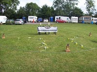 Handfasting Ceremony 1087338 Image 0